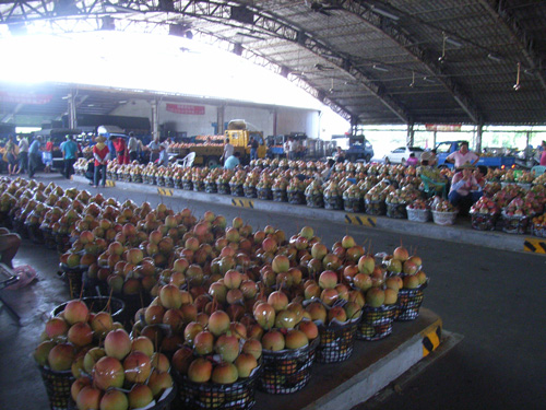 マンゴー青果市場