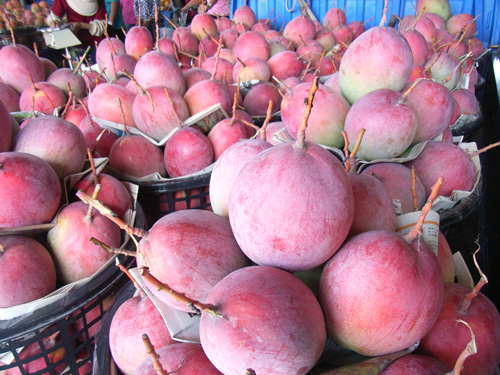 台湾のマンゴー販売