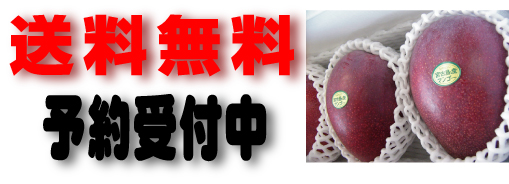 マンゴーのご注文はこちらから
