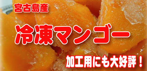 宮古島産冷凍マンゴーはマンゴージュースやマンゴープリンなど加工用におすすめです
